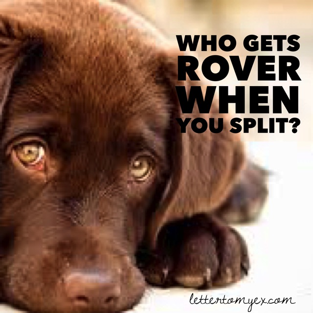 who-gets-rover